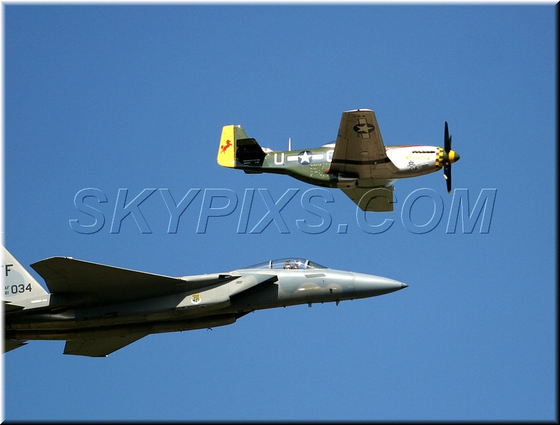 EAGLE AND MUSTANG.JPG