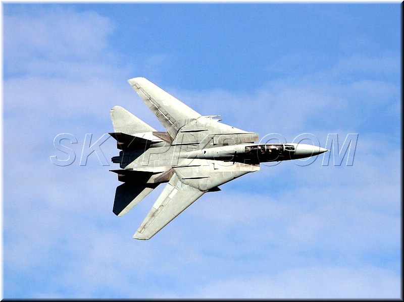 f 14 tomcat 2.JPG