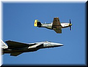 EAGLE AND MUSTANG.JPG