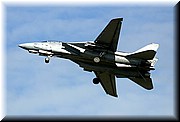 F-14 LOW SPEED WING POSTION.JPG