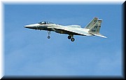 F-15 EAGLE 2.JPG