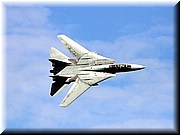 f 14 tomcat 2.JPG