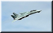 f-14 HIGHSPEED POSTION.JPG