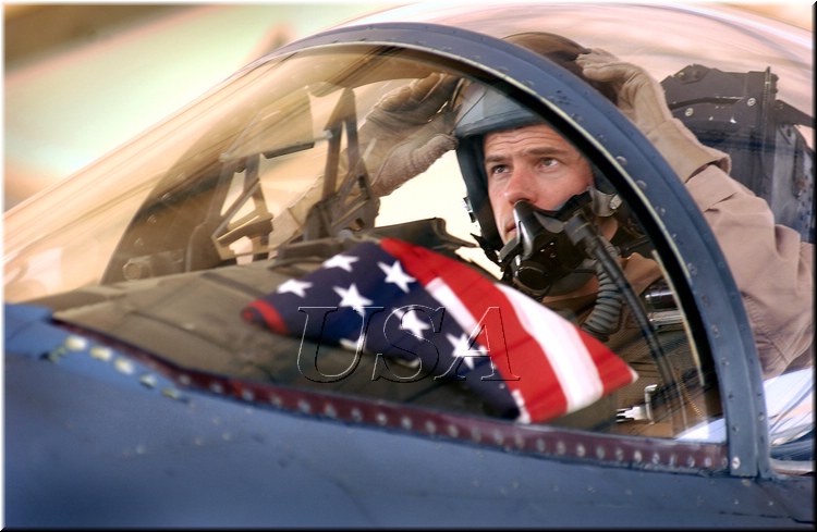 PATRIOTIC PILOT.jpg