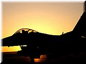 F16_SILHOUETTE.jpg